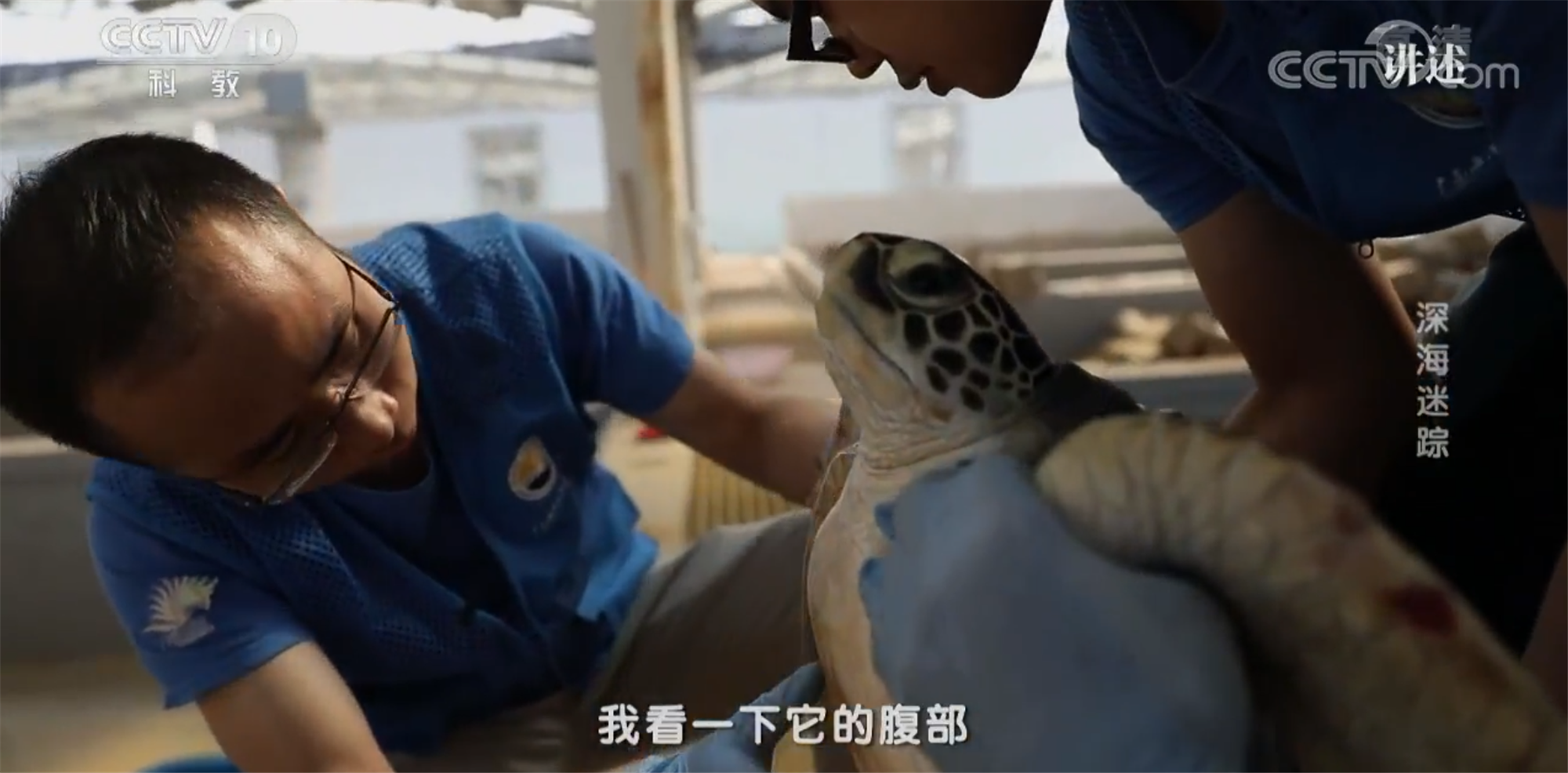 QQ截图20181203161602_副本.png